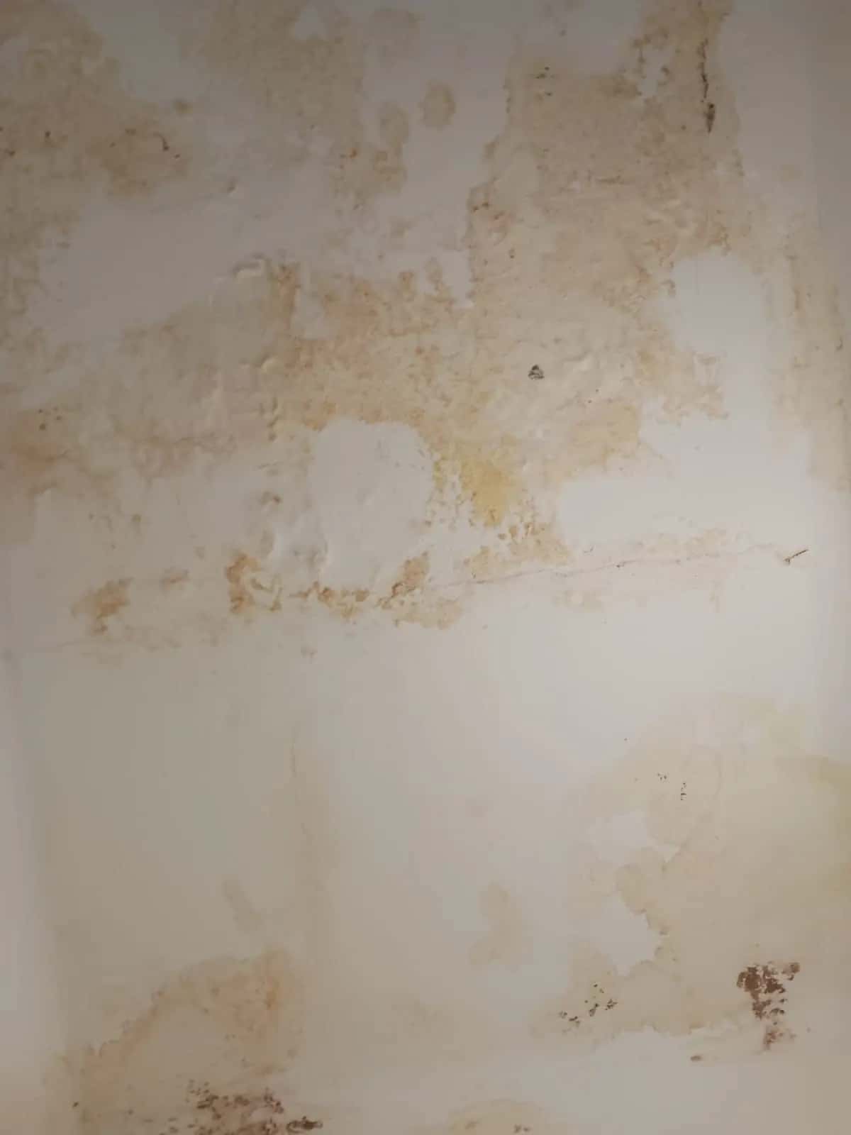 Pared con manchas amarillentas de humedad y pintura abombada por una filtración de agua