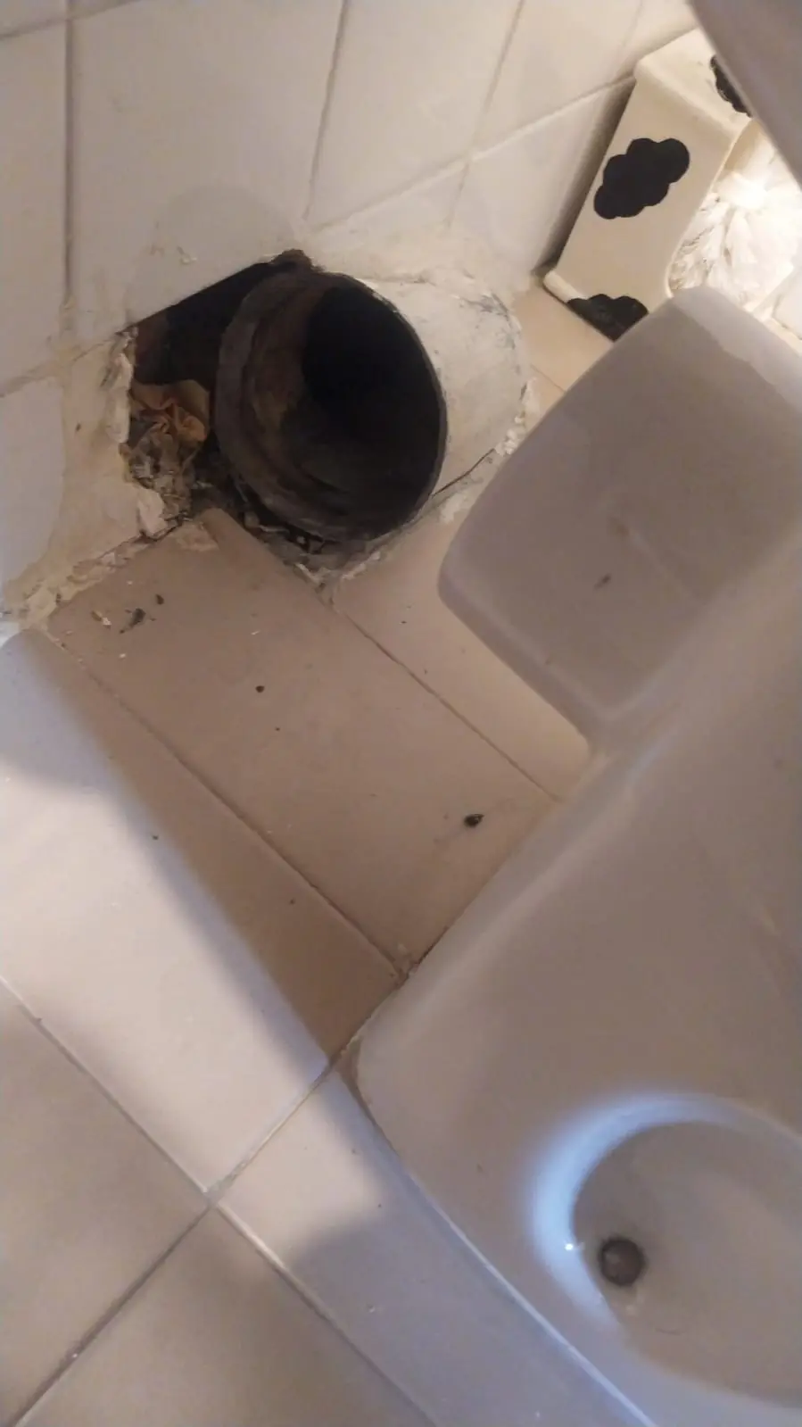 Pared picada detrás de un inodoro con el tubo de desagüe antiguo a la vista