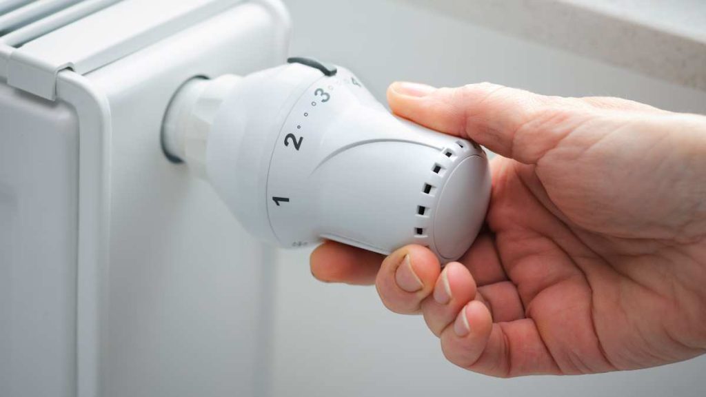 detentor radiador Valencia económico